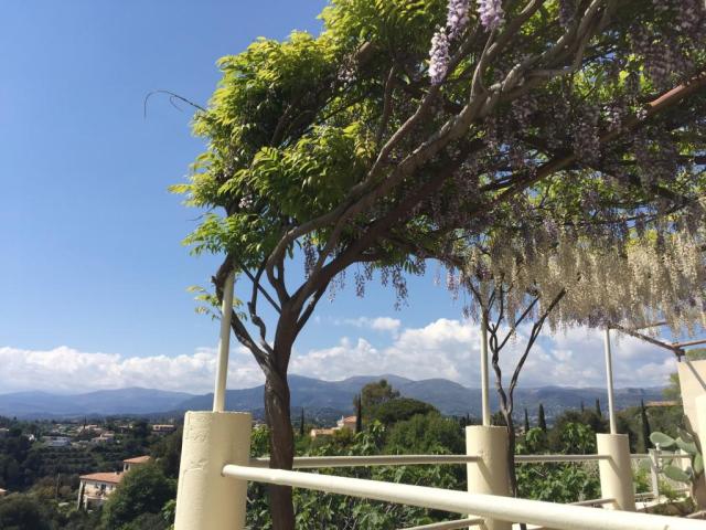 Location appartement T4 Cagnes sur Mer - Photo 9