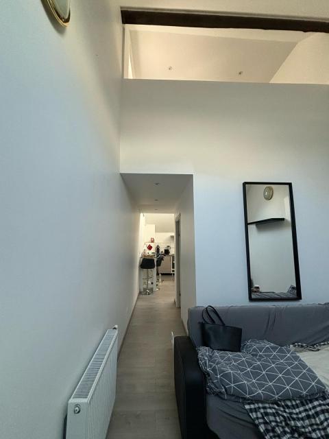 Location appartement T2 Strasbourg - Photo 9