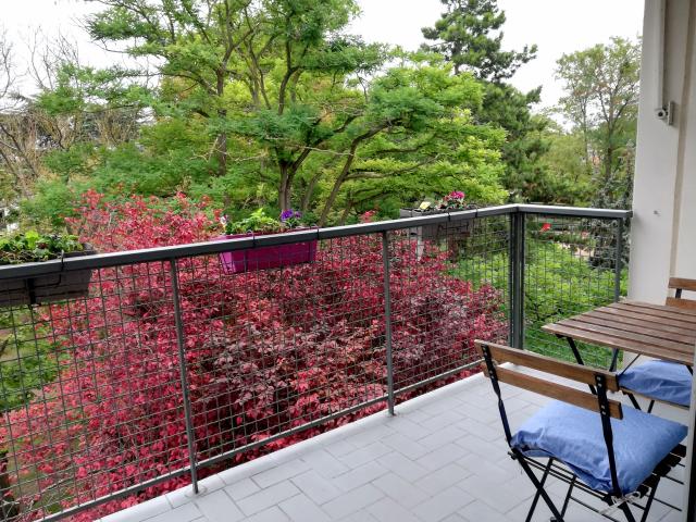 Location appartement T3 Marly le Roi - Photo 9