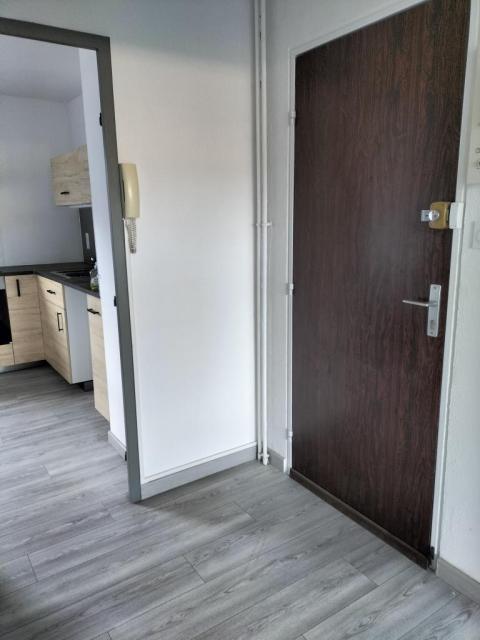 Location appartement T3 St Etienne - Photo 3