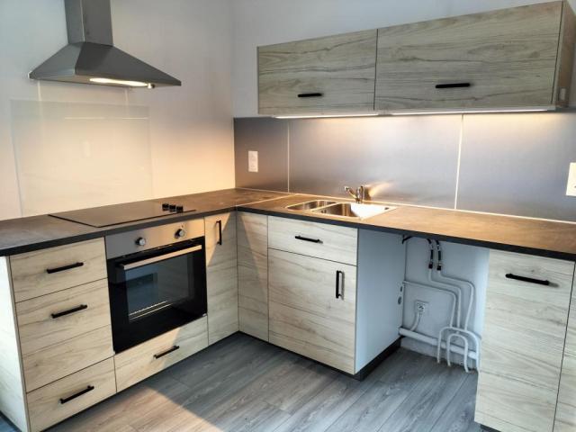 Location appartement T3 St Etienne - Photo 4