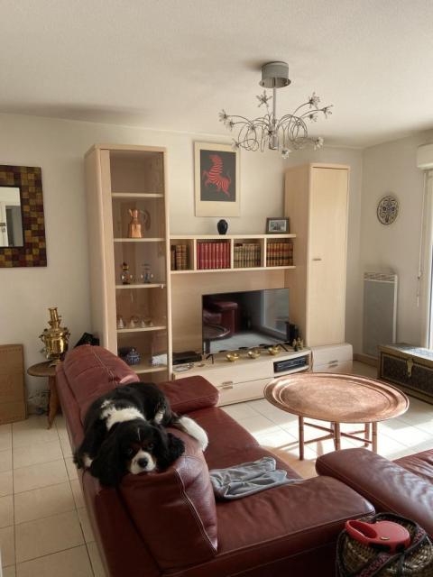 Location appartement T2 Ramonville St Agne - Photo 2