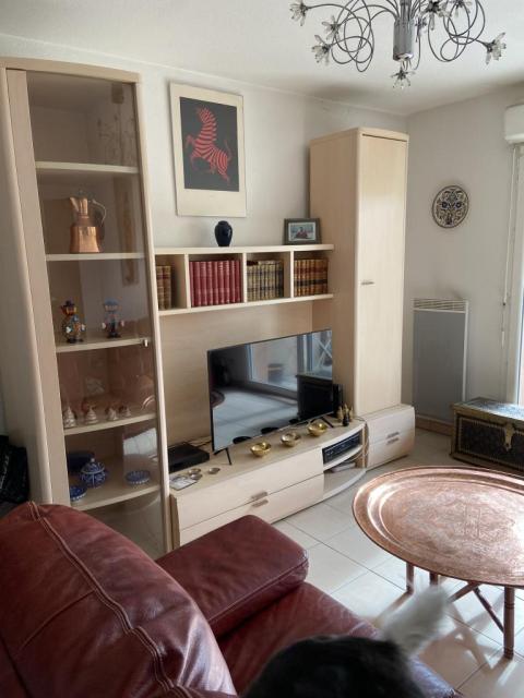 Location appartement T2 Ramonville St Agne - Photo 6