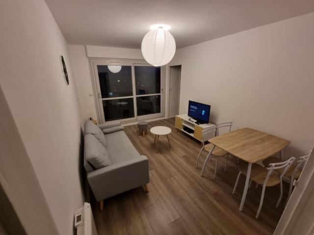 Location appartement T3 Nantes - Photo 10