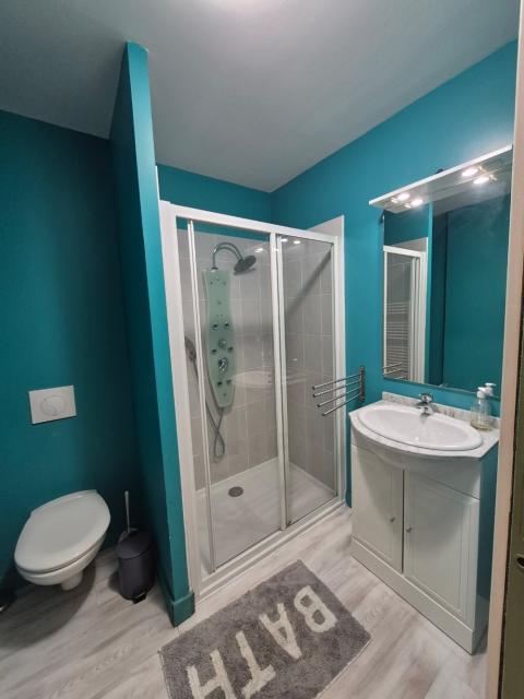 Location appartement T2 Toulouse - Photo 8