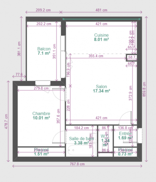 Location appartement T2 Toulouse - Photo 3