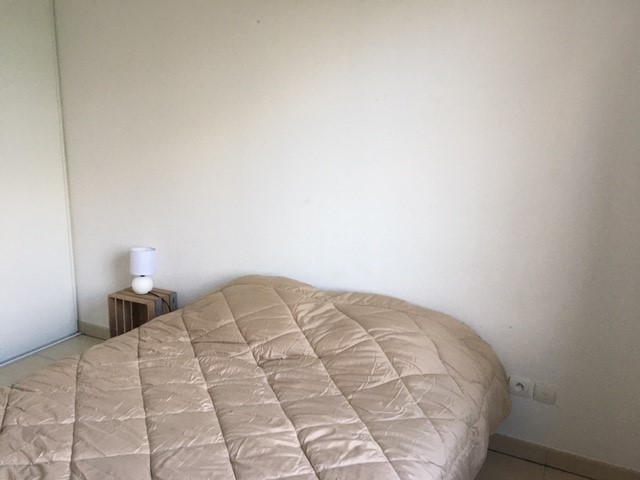Location appartement T2 Castelnau d'Estretefonds - Photo 4