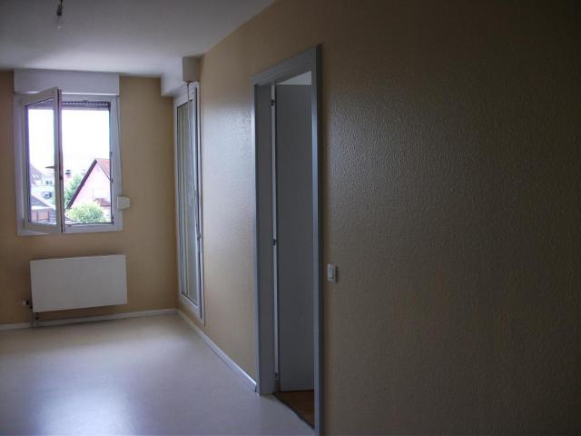 Location appartement T3 Strasbourg - Photo 3
