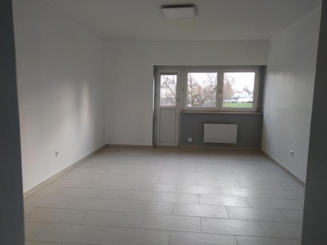 Location appartement T3 Mulhouse - Photo 2