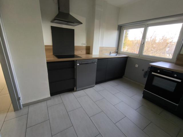 Location appartement T3 Mulhouse - Photo 8