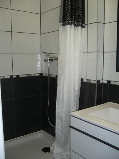 Location appartement T2 St Etienne - Photo 4