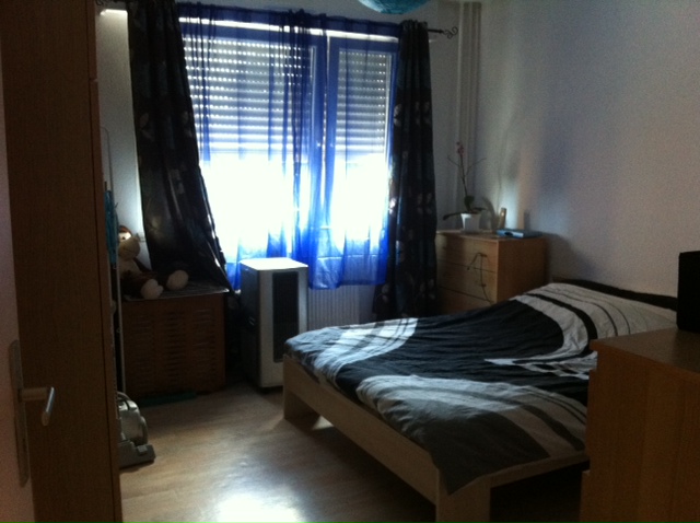 Location appartement T2 Hoenheim - Photo 4