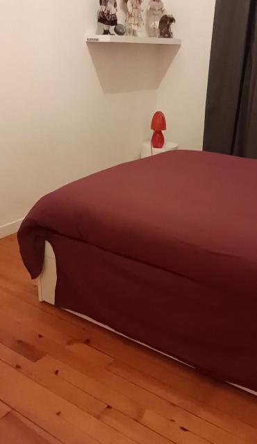 Location appartement T3 St Etienne - Photo 2