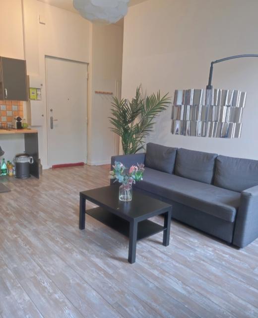 Location appartement T3 St Etienne - Photo 10