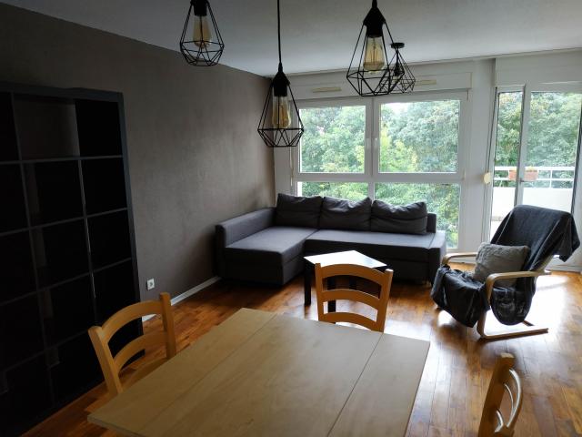 Location appartement T3 Strasbourg - Photo 3
