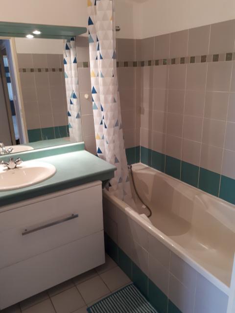 Location appartement T2 Toulouse - Photo 7