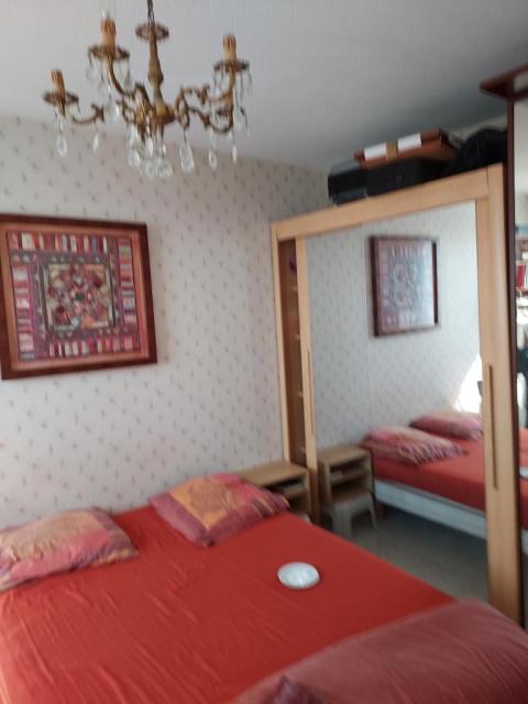 Location appartement T2 Montpellier - Photo 9