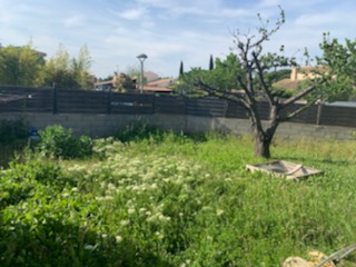 Location maison F4 St Georges d'Orques - Photo 2