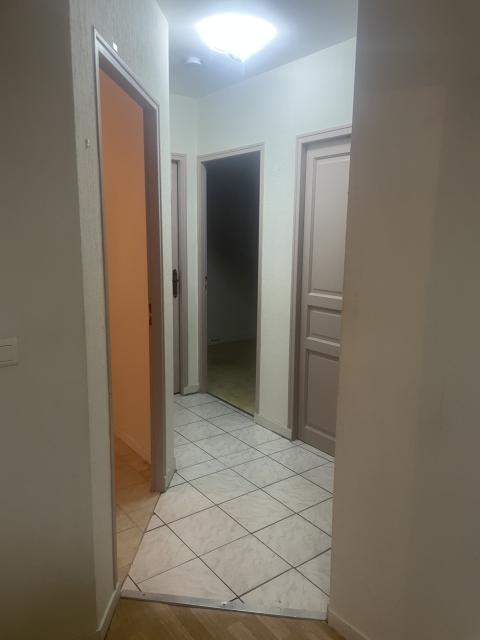 Location appartement T3 Annemasse - Photo 7