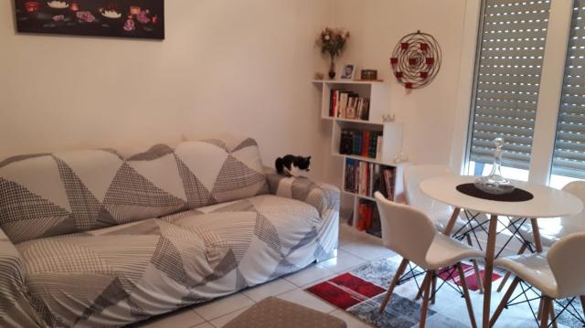 Location appartement T3 Strasbourg - Photo 1