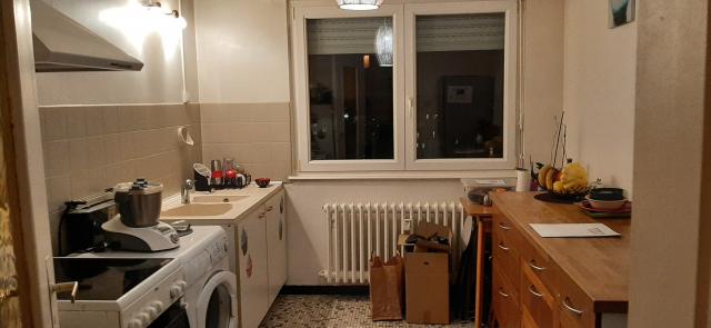 Location appartement T3 Strasbourg - Photo 2