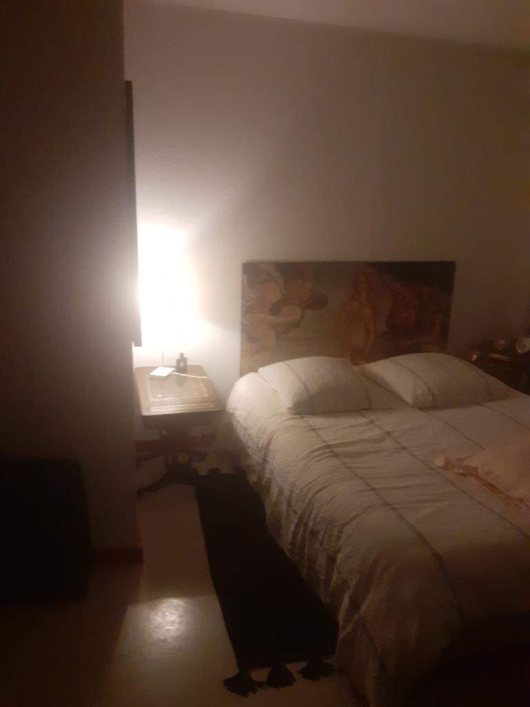 Location chambre Bordeaux - Photo 1