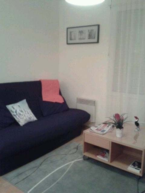 Location appartement T3 Tours - Photo 2