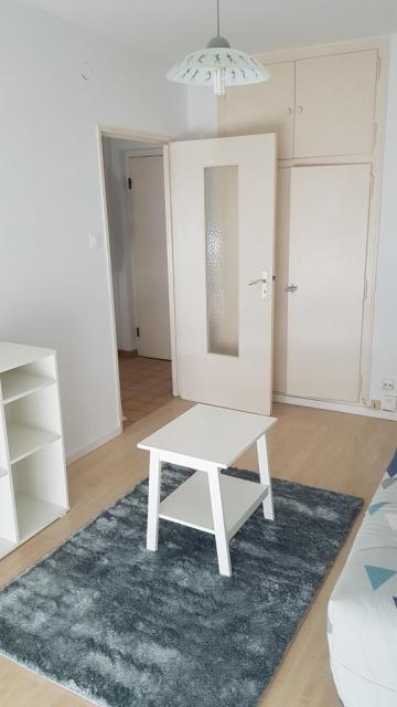 Location appartement T1 Strasbourg - Photo 3