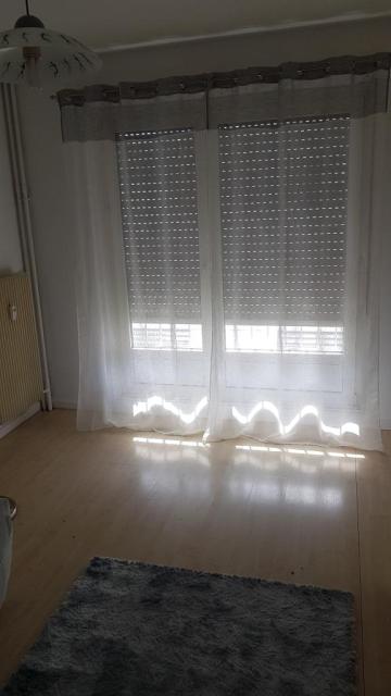 Location appartement T1 Strasbourg - Photo 4