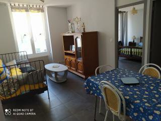 Location appartement T2 St Etienne - Photo 7