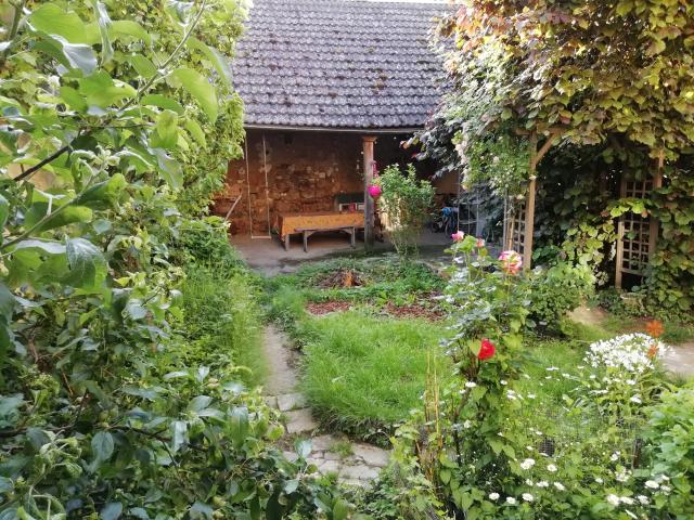 Location appartement T3 Villeneuve l'Archeveque - Photo 4