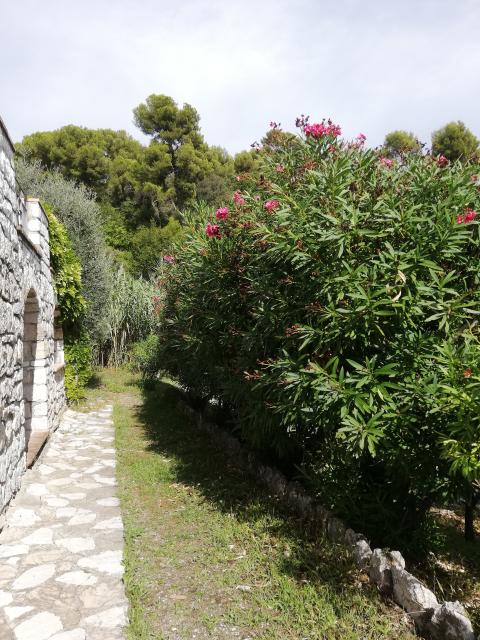 Location appartement T2 Nice - Photo 1