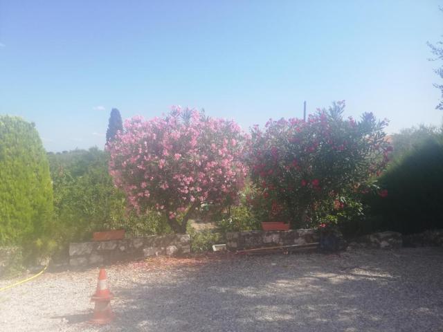 Location appartement T2 Nice - Photo 8