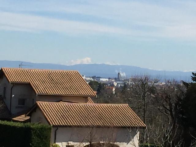 Location appartement T5 St Didier au Mont d'Or - Photo 2