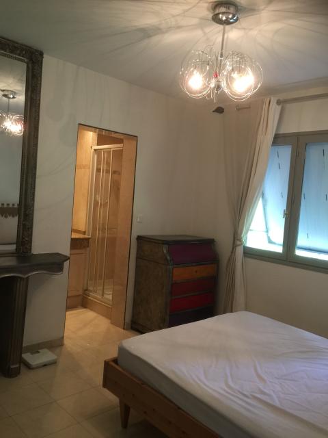 Location appartement T5 St Didier au Mont d'Or - Photo 5
