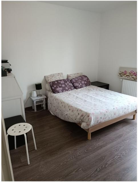 Location maison F4 St Romain au Mont d'Or - Photo 2