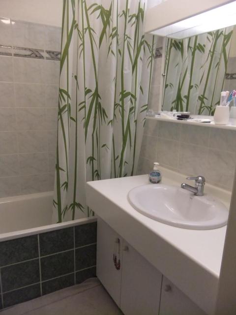 Location appartement T2 Strasbourg - Photo 3