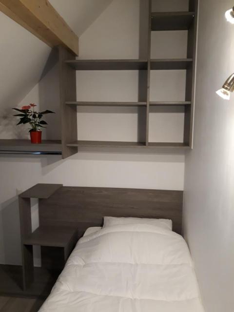 Location appartement T3 Strasbourg - Photo 3