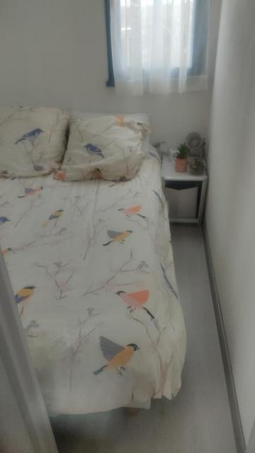Location studio Canet en Roussillon - Photo 4