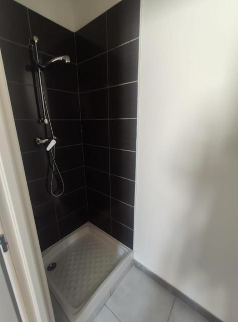 Location appartement T2 Toulouse - Photo 6