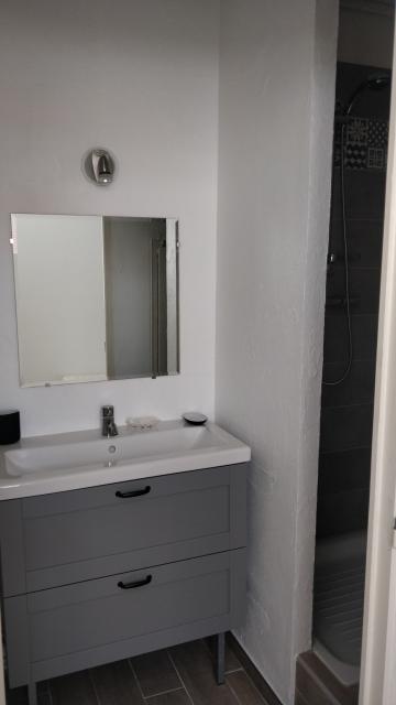 Location appartement T2 St Etienne - Photo 5