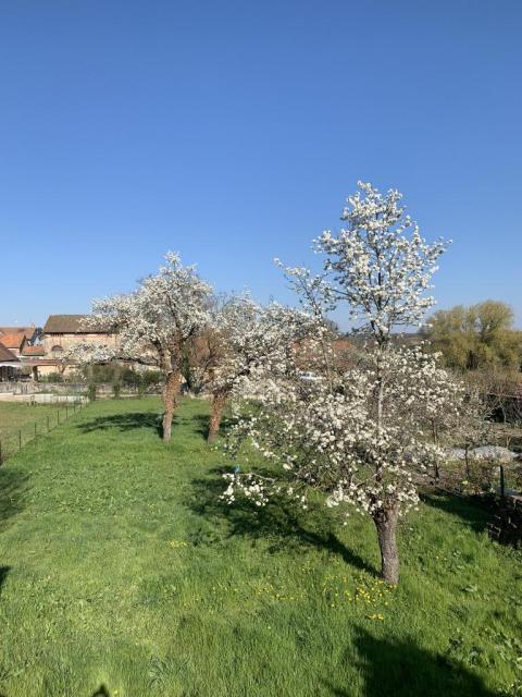 Location maison F2 Souvigny - Photo 2