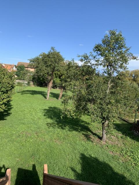 Location maison F2 Souvigny - Photo 6