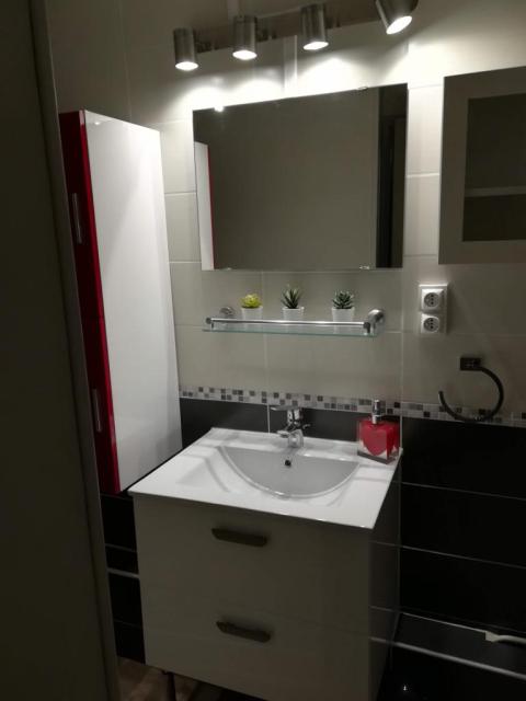 Location appartement T2 Toulouse - Photo 6