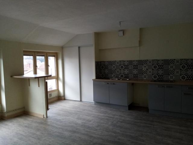Location appartement T3 St Etienne - Photo 7