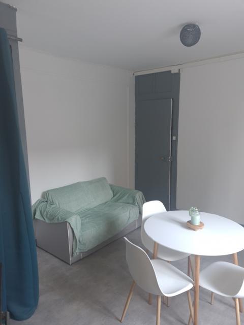 Location appartement T2 Grenoble - Photo 7