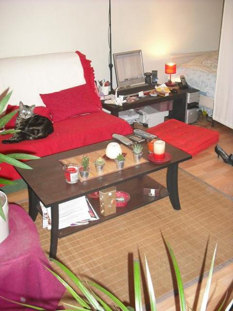 Location appartement T1 Limoges - Photo 6