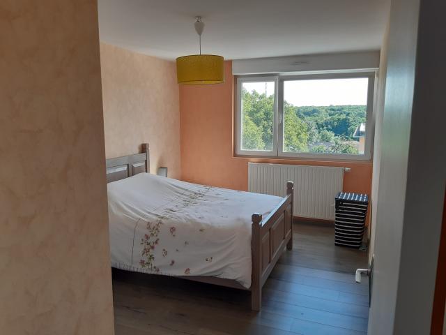 Location appartement T2 Villers les Nancy - Photo 6