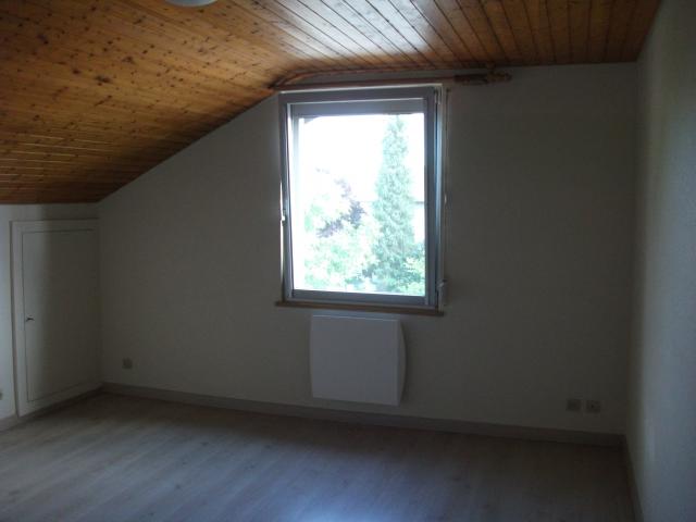 Location appartement T3 Kembs - Photo 3