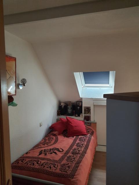 Location appartement T3 Mulhouse - Photo 4